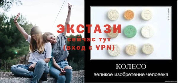 спиды Ельня