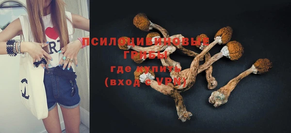 ECSTASY Елизово