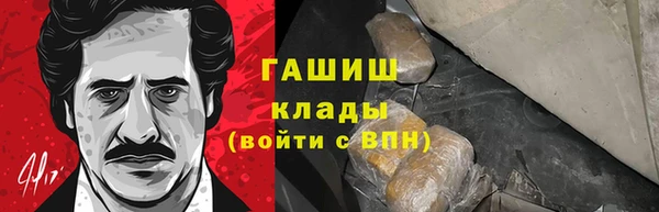 спиды Ельня