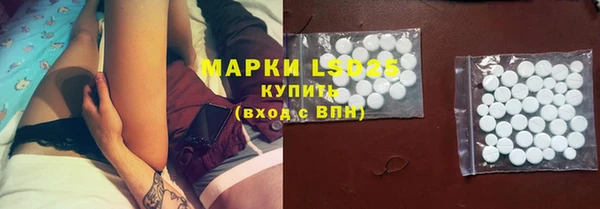 ECSTASY Елизово