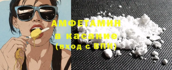 спиды Ельня