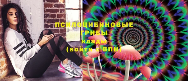 соль курить ск Дмитриев