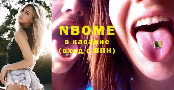 спиды Ельня