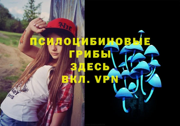 не бодяженный Елабуга