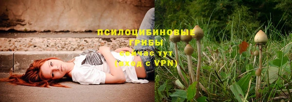ECSTASY Елизово