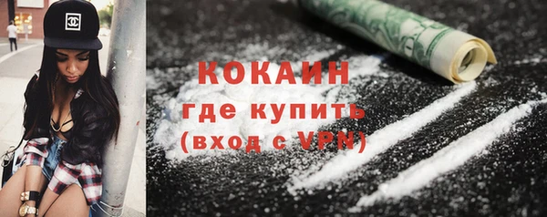 спиды Ельня