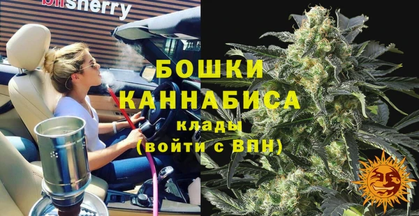 ECSTASY Елизово