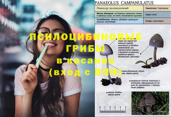 спиды Ельня