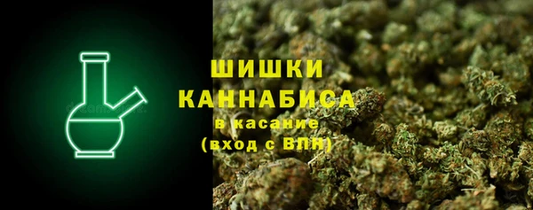 ECSTASY Елизово