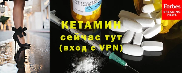 спиды Ельня