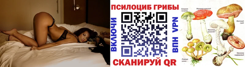 Купить закладки  Спасск  Галлюциногенные грибы MAGIC MUSHROOMS 